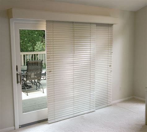 Patio door blinds