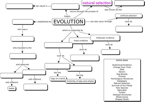 Patterns Of Evolution Concept Mapping Answer Key Kindle Editon