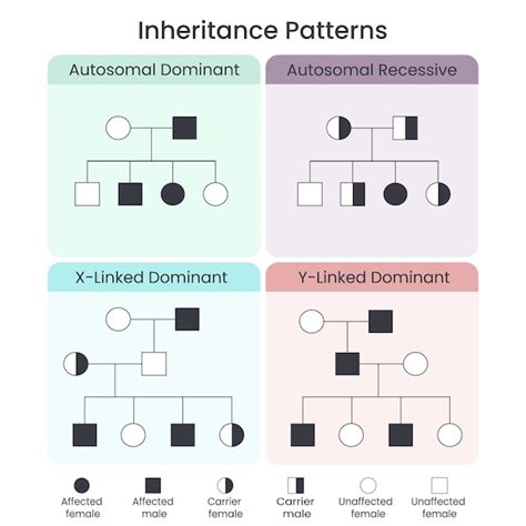 Patterns Of Genetic Inheritance Lab Answers Doc