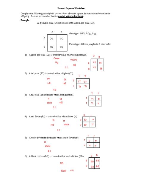 Patterns Of Inheritance Problems Monohybrid Crosses Answers PDF