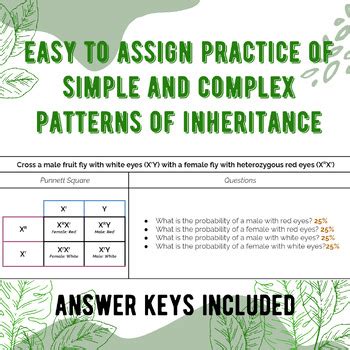 Patterns Of Inheritance Test Answers PDF