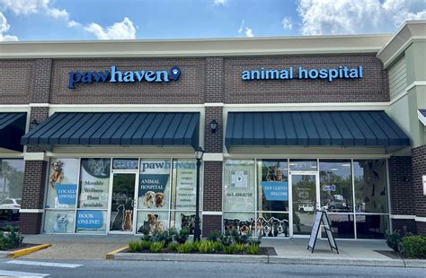 Paw Haven Animal Hospital: Your Comprehensive Guide to Affordable, Top-Quality Animal Care