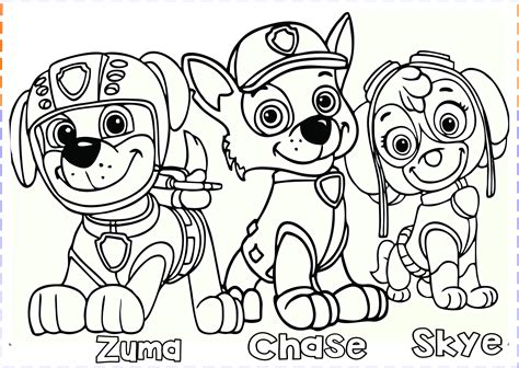 Paw Patrol Free Coloring Page