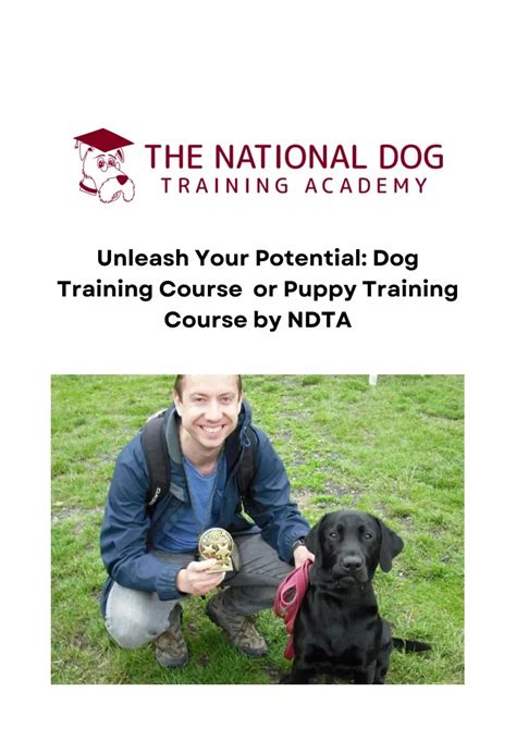 Paw-some Career Paths: Explore MDIS's Dog Training Courses to Unleash Your Potential