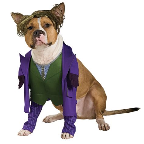 Paw-some Costumes for Your Gentle Giant: A Guide to the Best Dog Costumes for Large Dogs