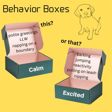 Paw-some Pet Behavior: Bark Social VS Solo Exploration