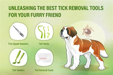 Paw-tector: Defending Your Furry Friend from Mosquitoes and Ticks