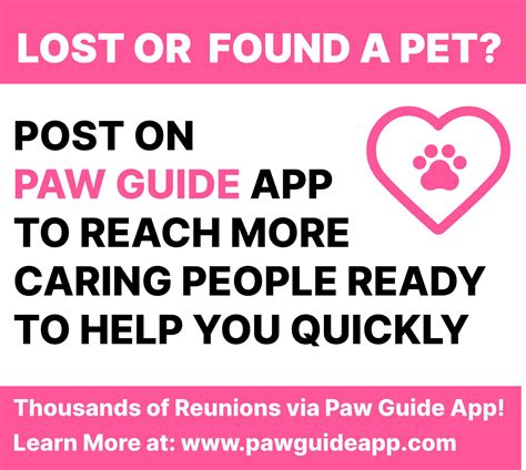 PawGalert: A Comprehensive Guide to Lost and Found Pet Reunions