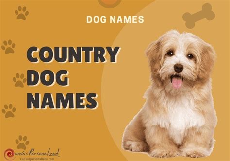 Pawfectly Patriotic: A Comprehensive Guide to Country Dog Names for Your Male Furry Friend