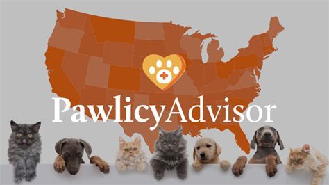 Pawlicy Advisor Pet Nutrition Advice: 2025 and Beyond