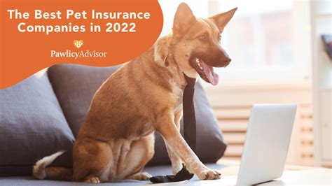 Pawlicy Advisor pet insurance reviews