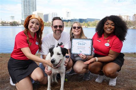 Paws for the Cause: 10,000+ Animals Aided Through the Power of Collaboration