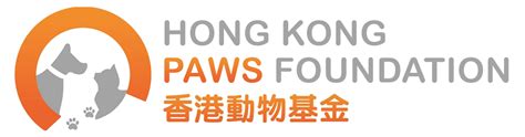 Paws in Motion HK：讓愛犬活力十足，快樂無窮！