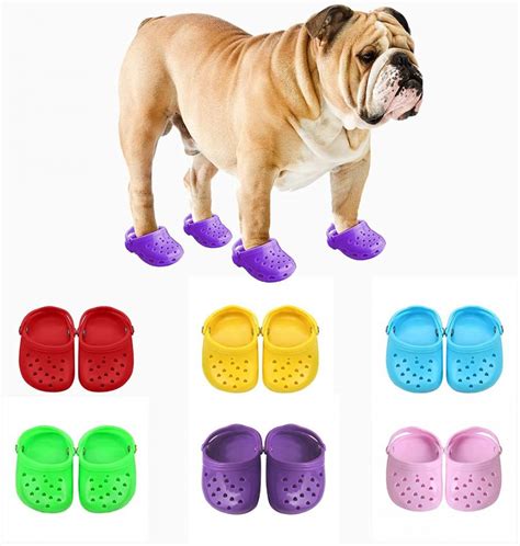 Paws in Protection: A Comprehensive Guide to Crocs for Dogs