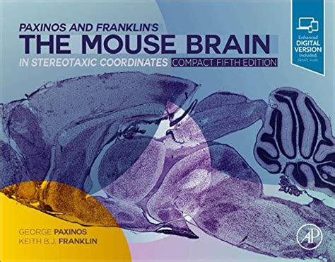 Paxinos and Franklins The Mouse Brain in Stereotaxic Coordinates Ebook Epub