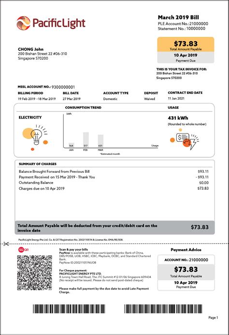 Pay Singapore Power Bill with Credit Card: 2025 and Beyond