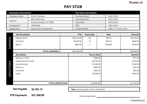 Pay Stub Template