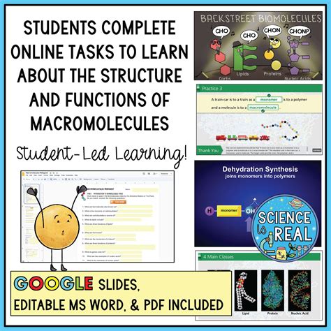 Pcmac Macromolecules webquest Ebook Doc