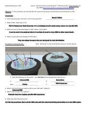 Pcr Virtual Lab Answer Key Epub