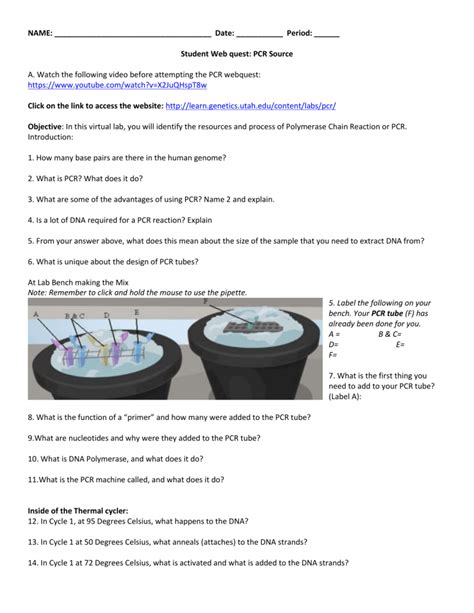 Pcr Webquest Answers Epub