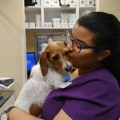 Peachtree Hills Animal Hospital: Your Trusted Partner for Pet Health