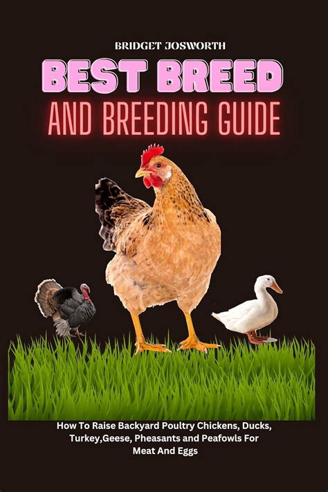 Peafowl Poultry: A Comprehensive Guide for Raising and Caring for Peafowl