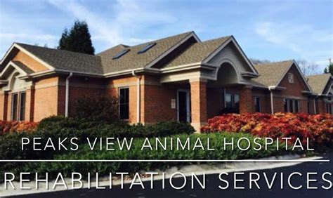 Peaks View Animal Hospital: Providing Unparalleled Care for Your Furry Friends