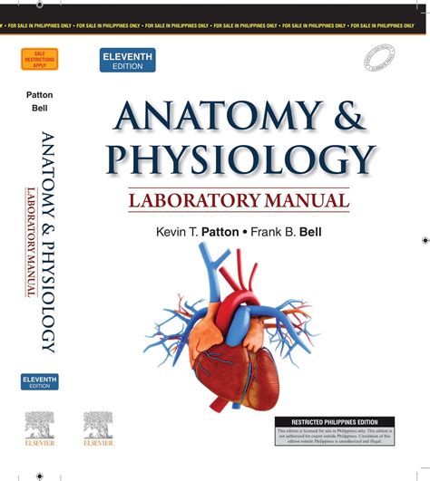 Pearson Anatomy And Physiology Lab Manual Answers Kindle Editon