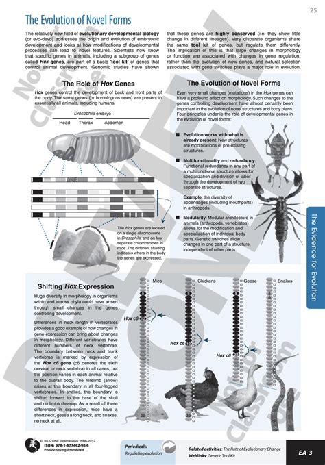 Pearson Biology Workbook Answer Key Evolution Ebook Kindle Editon