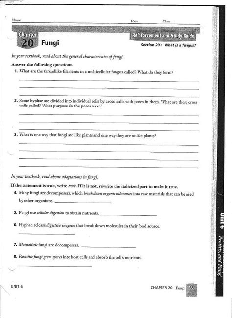 Pearson Biology Workbook Answer Key Fungi Doc