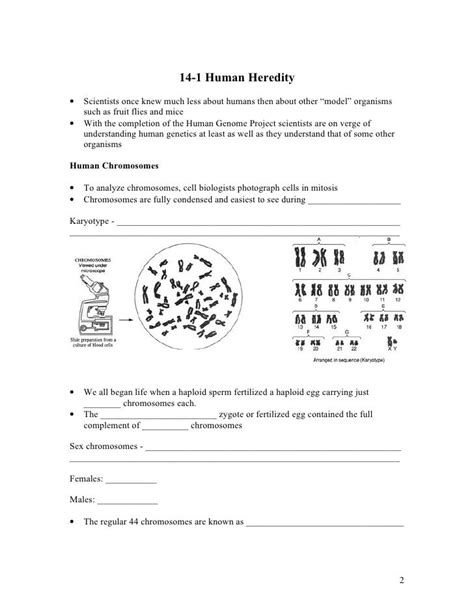 Pearson Education Biology Workbook Answers Human Heredity Doc