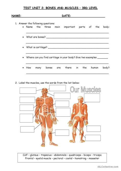 Pearson Education Bones And Muscles Answer Key Epub