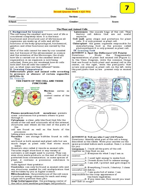 Pearson Prentice 7th Grade Science Cell Process Chapter Test Answers Doc