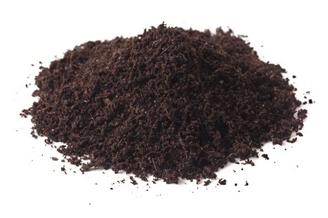 Peat Moss & Fertilizer: The Ultimate Guide to Soil Enhancement