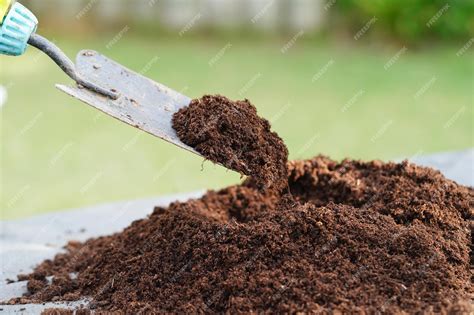 Peat Moss and Fertilizer: A Powerful 5-in-1 Solution for 2025