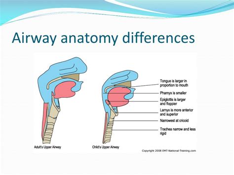 Pediatric Airway PDF