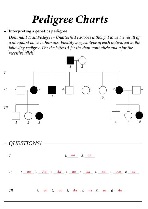 Pedigree Chart Activity Answer Key PDF