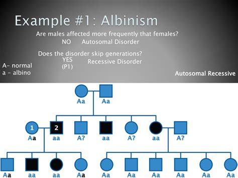 Pedigree Chart For Albinism