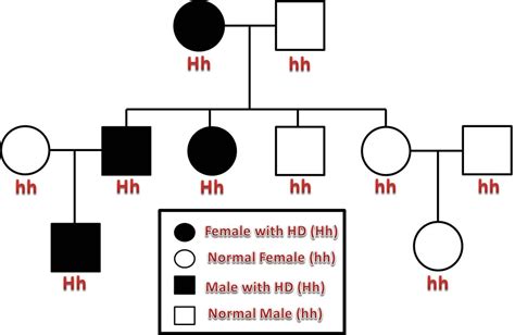 Pedigree Chart Huntingtons Disease