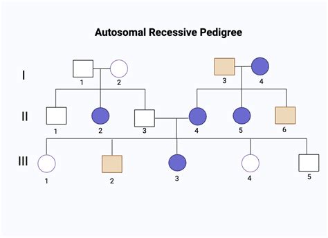 Pedigree Chart Recessive