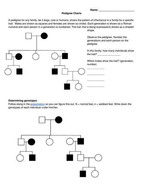 Pedigree Genetics Questions And Answers Reader