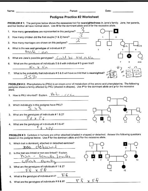 Pedigree Practice Worksheet Answer Key Doc