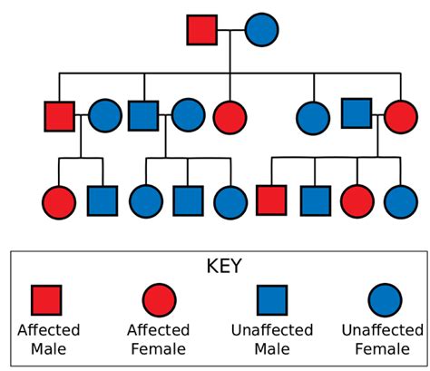 Pedigree and Early Life