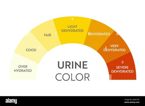 Pee Color Chart Hydration