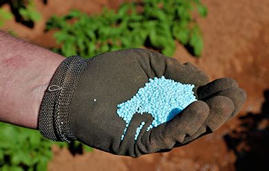 Pelletized Fertilizer: 10X the Efficiency, 100X the Potential