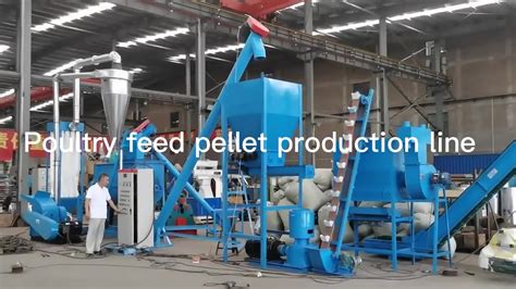 Pelletizer for Chicken Manure: 5,000-Ton Investment with Surprising Benefits