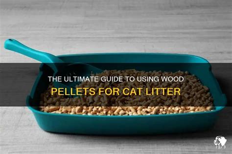 Pellets for Cat Litter: The Ultimate Guide