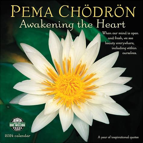Pema Chodron Awakening the Heart 2006 Calendar Epub