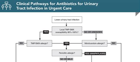 Penicillin for Urinary Tract Infections: A Detailed Guide