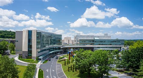 Penn State University's Pre-Med Program: A Comprehensive Guide